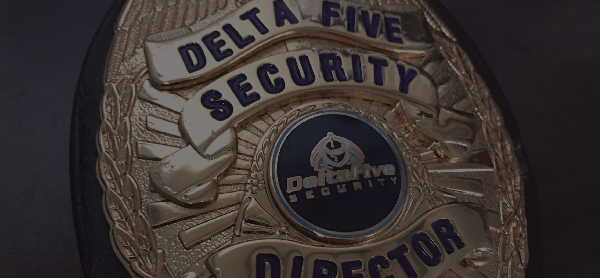 delta five security banner